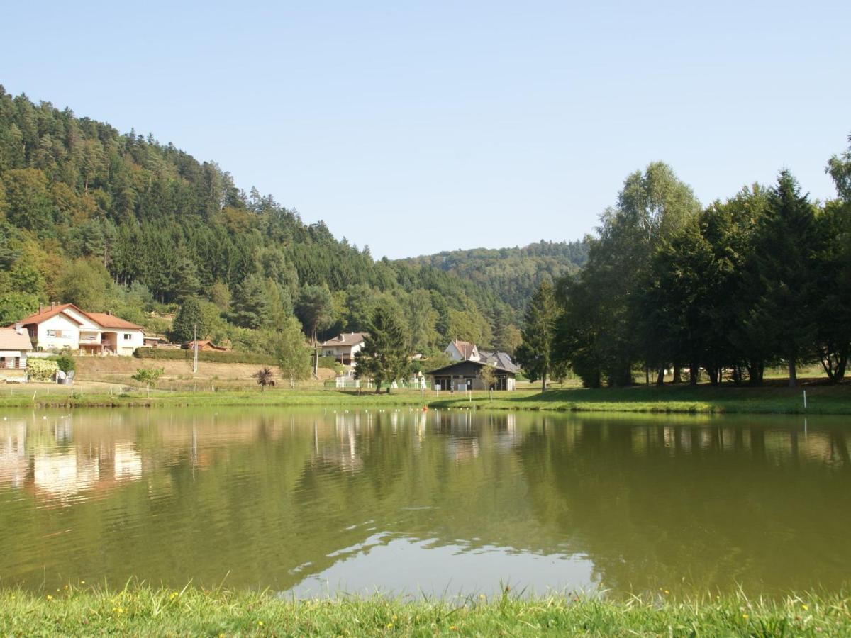 Charming Chalet In Ventron With Terrace Rum bild